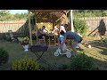 6 соток в июле 2022 год. Хроника. Воскресение. relaxing in the garden