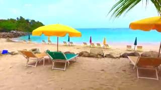 Famous A Legendary Beach Bar in St Martin - Kali's Beach Bar Net Worth