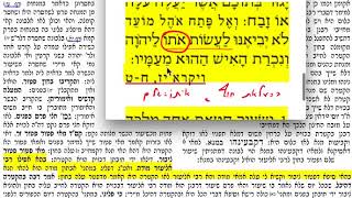 הדף יומי- זבחים קי 110 רביעי כ אב תשע״ח