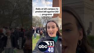 A rally against a bill that would prohibit Diversity, Equality, and Inclusion programs