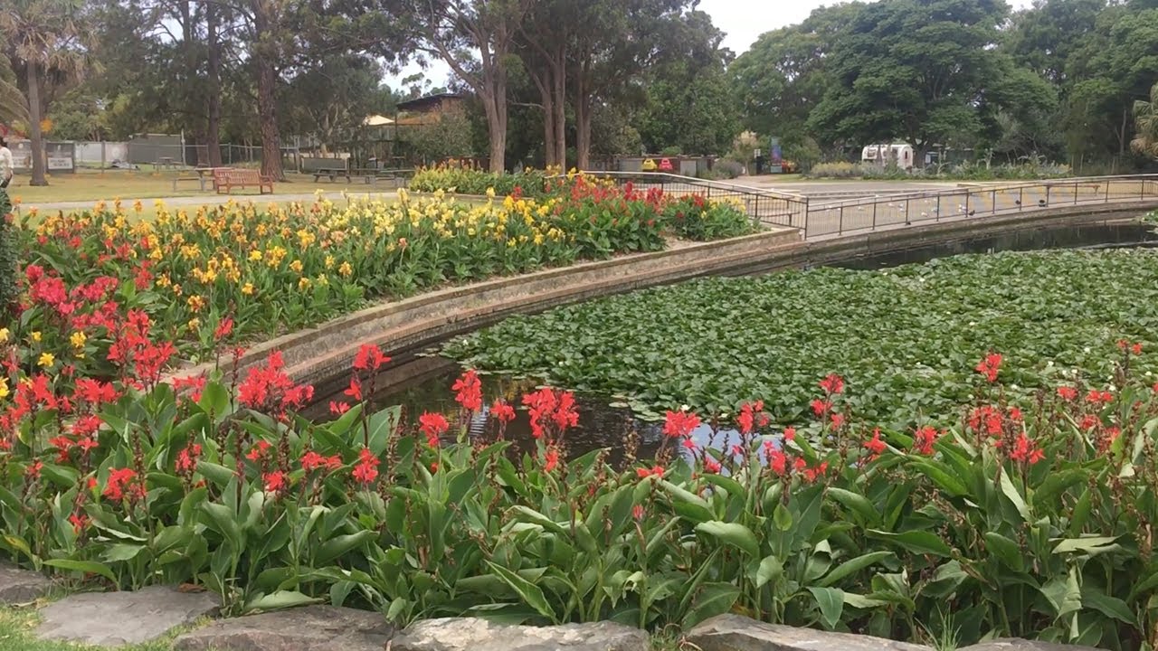 Flower Garden, Botanic Garden, Wollongong, Australia Part 4 YouTube