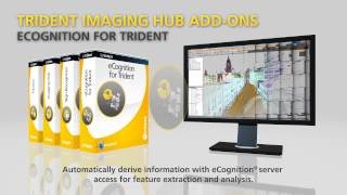 Trident Software