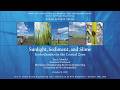 Sunlight, Sediment, and Slime: Ecohydraulics in the Coastal Zone