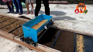 Raising Healthy Seedlings]Sowing operation -Manual sowing machine 