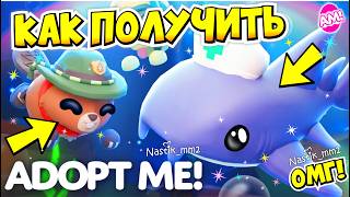 КАК ПОЛУЧИТЬ НОВУЮ АКУЛУ В ЛЕТНЕМ ЛАГЕРЕ В АДОПТ МИ?😱🦈 ВТОРАЯ НЕДЕЛЯ ОБНОВЛЕНИЯ!👀 ADOPT ME
