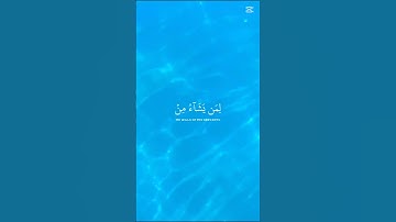القرآن الكريم.قراءة هادئة تريح النفس #المصحف #راحة_نفسية #الرحمن #اكسبلور
