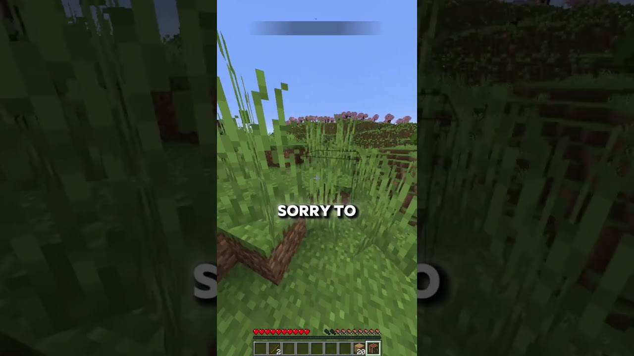 MINECRAFT, BUT TRUCK