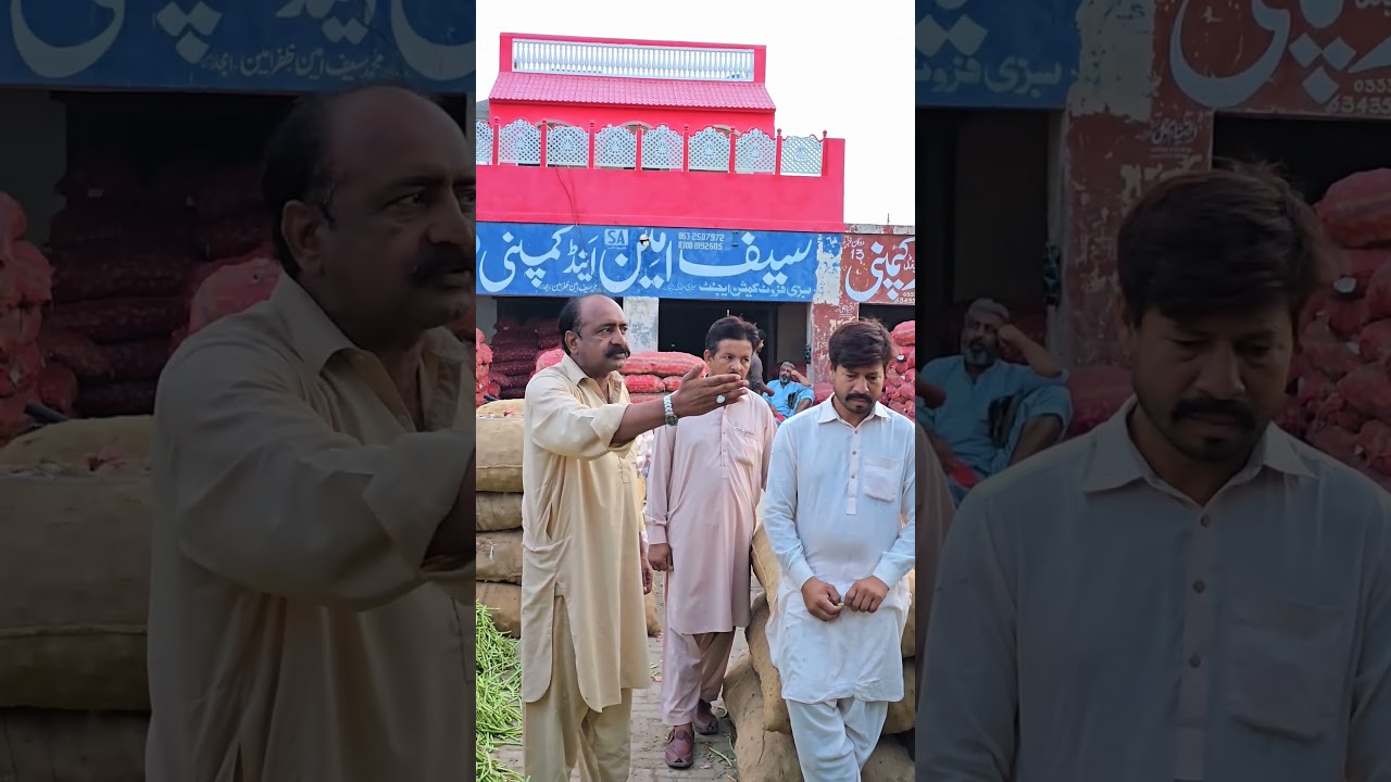 saifameen and company 