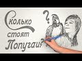 Сколько стоит попугай? Цены и особенности видов попугаев.