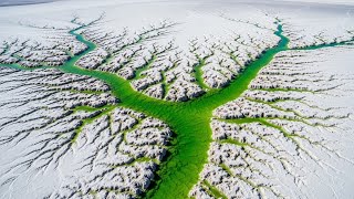 How Coastal Erosion Creates Infinite Fractal Patterns