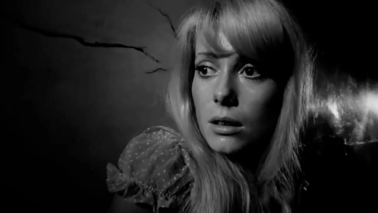 Polanski: Repulsion and The Tenant / Deux Filles – L’Intrigue
