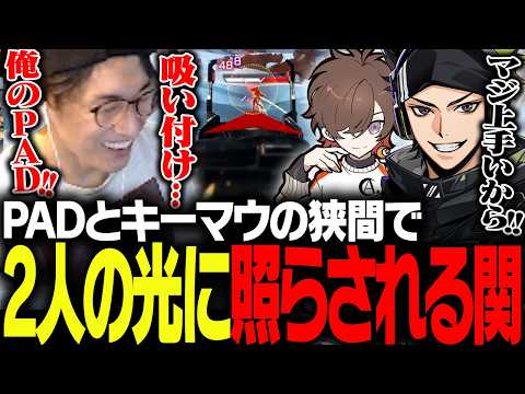 PADとキーマウの狭間で天月とハセシンの"光"に照らされる関優太【ApexLegends】