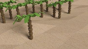 Blender Tutorial: Low Poly Palm Tree