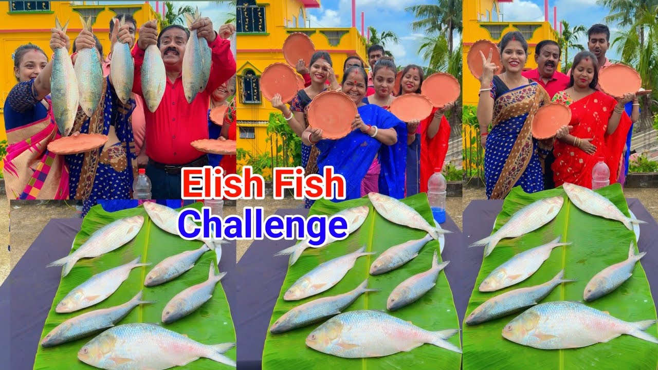 তাজা ইলিশ Unlimited Hilsa Fish Funny Challenge Video