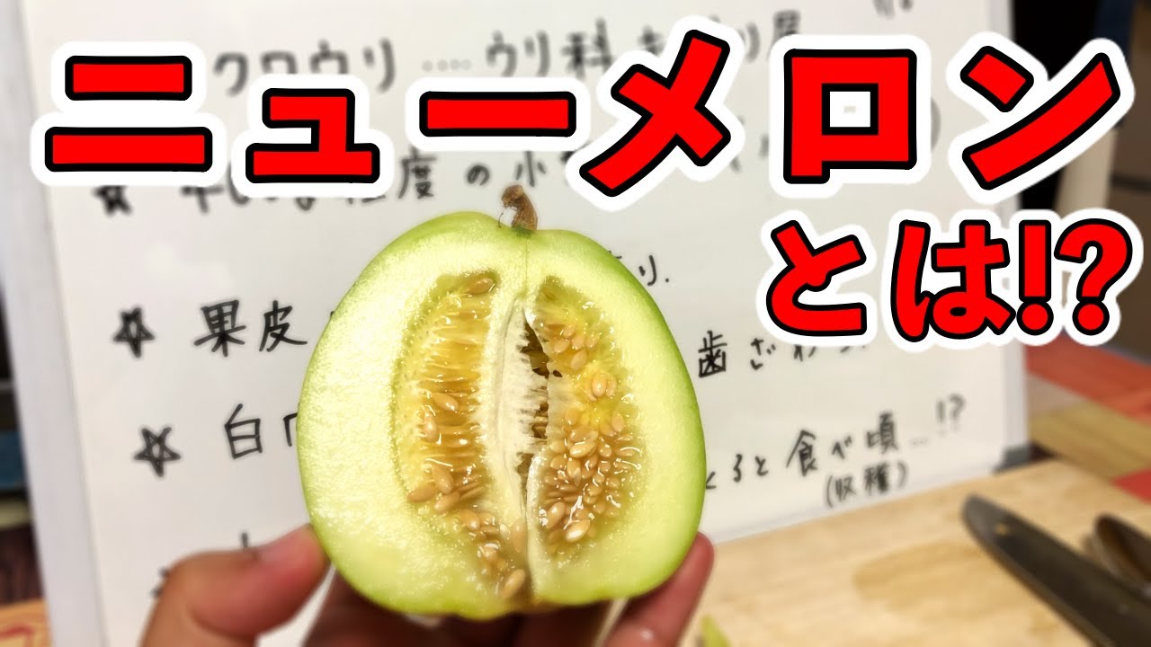ニューメロンの特徴と食レポについて！気になる糖度は！？ YouTube