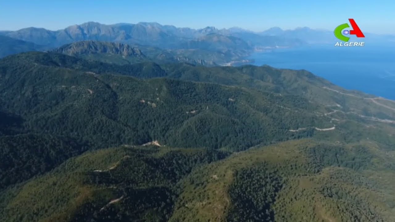 Le Parc National de Taza - Jijel - Algérie | الحديقة الوطنية تازة - جيجل - الجزائر