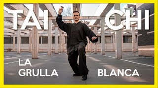 APRENDE TAI CHI | 🐦 La Grulla Blanca: equilibrio y claridad