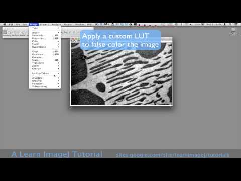 Converting Image Formats Learn Imagej
