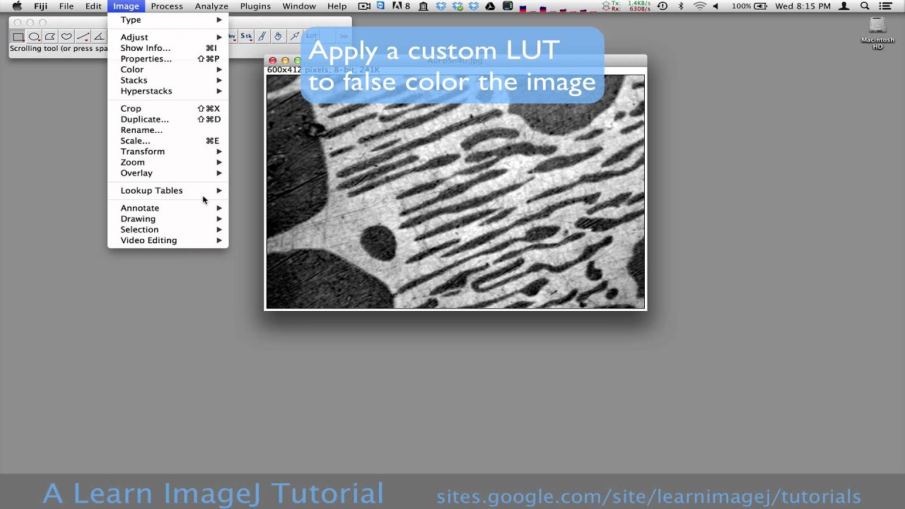 Imagej Create A Color Intensity Map