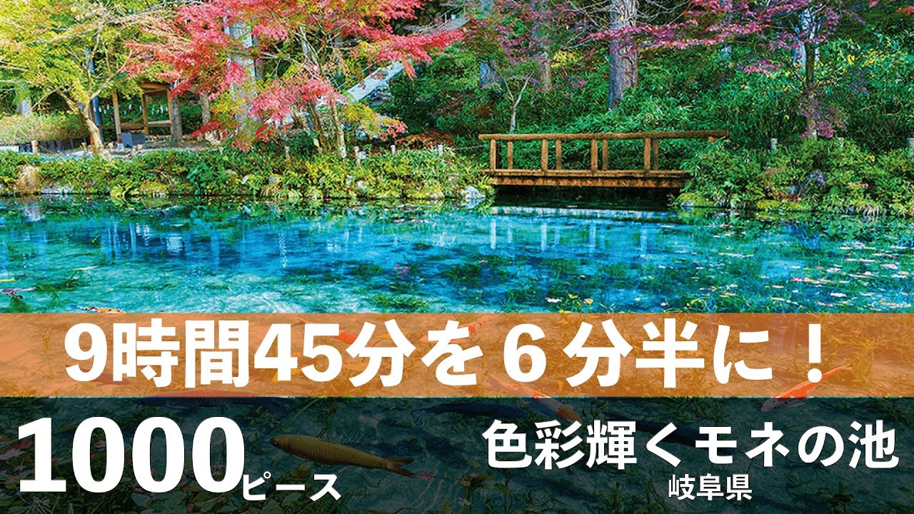 【ジグソーパズル】色彩輝くモネの池 1000ピース 【Jigsawpuzzle】#ジグソーパズル #jigsawpuzzle #Monet #モネ