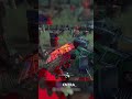 1 unsafe pallet & a dream #dbd #deadbydaylight #dbdsurvivor #dbdclips #dbdmemes #shorts #gaming