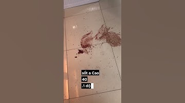 Tiêu chảy máu quá khủng khiếp | Thú Y DR TRỊNH