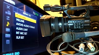 Sony NX100 Audio Settings