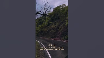 #سورة_التغابن #القارئ_رعد_محمد_الكردي