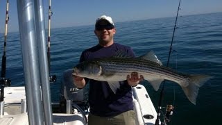 Live-Lining Mackerel For Striped B -- Cape Cod, Ma