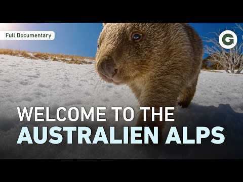 Australia's Snowy Mountains: The Wild Side Nobody Expects | Full Documentary