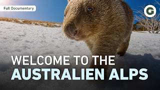 Australia Isn't Just Deserts: Welcome to the Australian Alps | Full Documentary