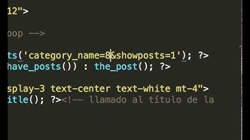 Loop por categoría WP
