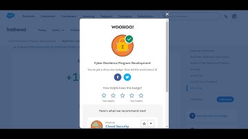 Cyber Resilience Program Development | Trailhead Salesforce