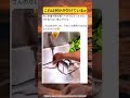 スゴい形してるww #おすすめ #shorts #面白い