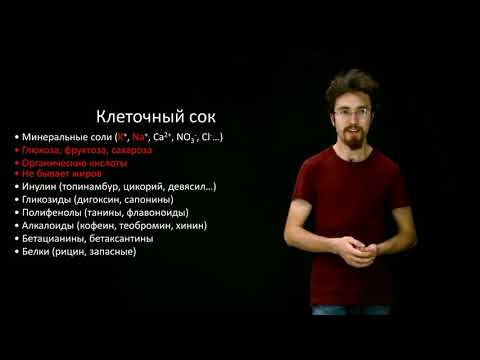 🌱 Анатомия растений, клетки, ткани, строение корня | ЕГЭ и ОГЭ по биологии