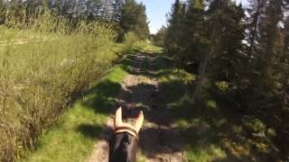 CNC100 - Klithuse - Gopro - Fyrstinde Temptation S.G