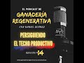 Persiguiendo el Techo Productivo - Podcast Episodio #14