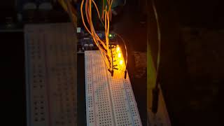 Arduino Xmas tree proto