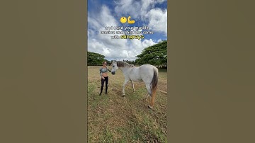 How I learned to read Shark behavior and develop the techniques to deter sharks #sharksafety #sharks