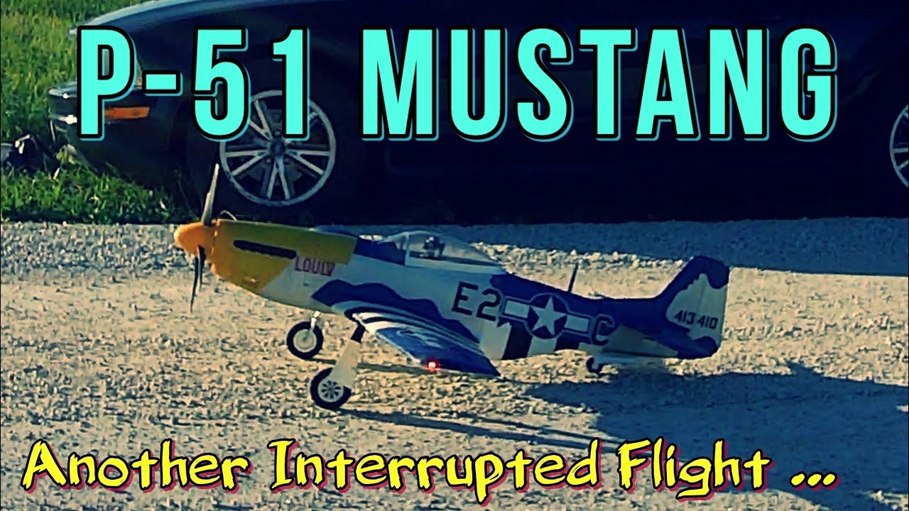 P-51D Mustang ...Another Interrupted Flight.