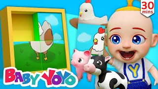 Animals Puzzle | Color song | Meet Animals | more Nursery rhymes | Baby yoyo by Baby Yoyo - Nursery Rhymes 835,753 views 1 year ago 25 minutes