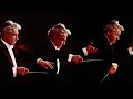 Karajan/Beethoven Symphony No.9 Live in New York 1976:カラヤン/ベートーヴェン交響曲第9番 1976 ニューヨーク公演 (STEREO)