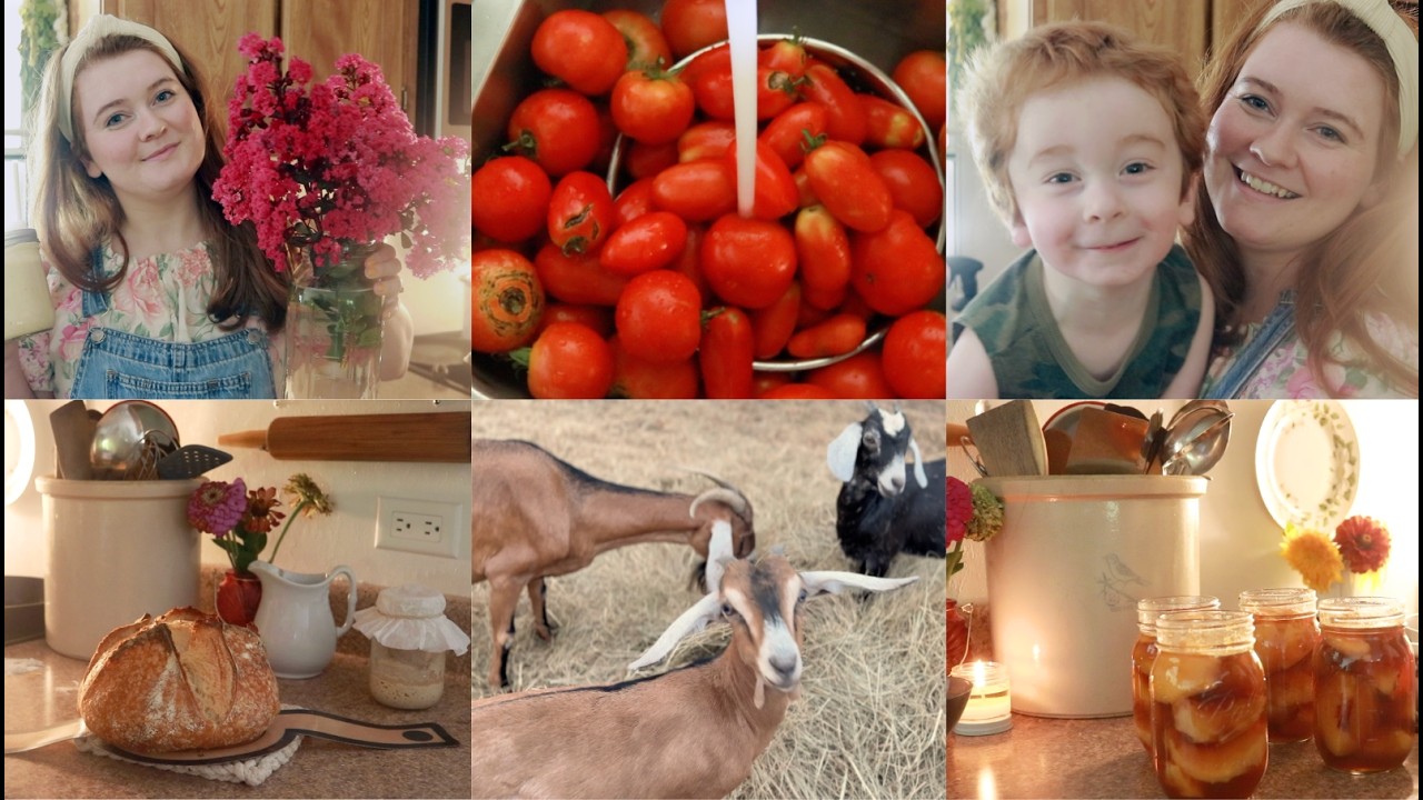 August Days in My Little Summer Kitchen