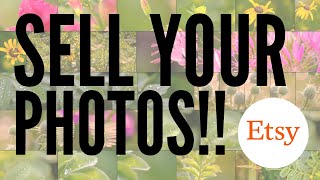 $10,000 Sales On Etsy: Four Tips I've Learned Selling Photos Online