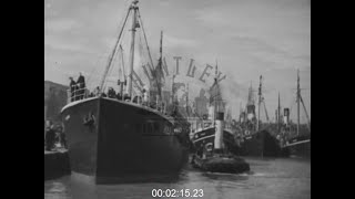 Fishing and Fish Market, London, 1940s - Film 1000325