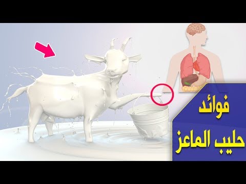 فوائد حليب الماعز الذي يفوق حليب الابقار بمراحل | معلومة صحية من قناة زود معرفتك