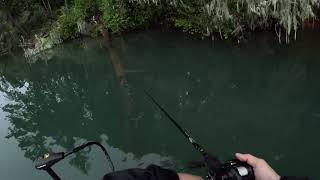Hagg lake Swimbait Fishing