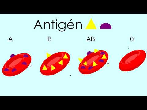 Video: Aký je rozdiel medzi VCA a skupinami?