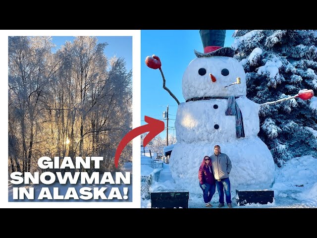 アイドル Snow Man SnowMania1 1stALBUM「Snow Mania S1」 - DISCOGRAPHY | Snow Man｜MENT