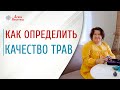 Как использовать травы | Качество трав | Польза трав для человека | Арина Никитина